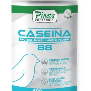 Proteínas Caseína 88% 500gr PINETA