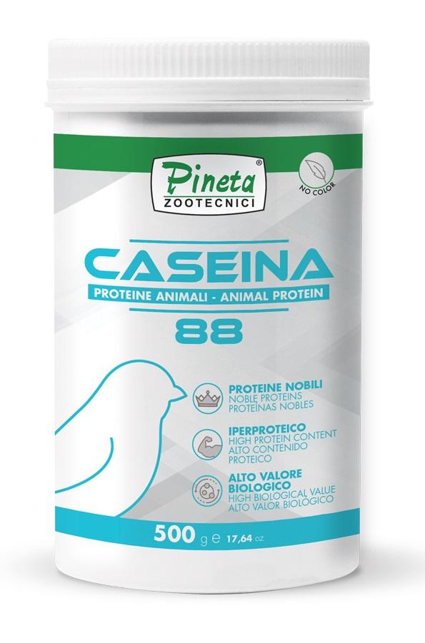 Proteínas Caseína 88% 500gr PINETA
