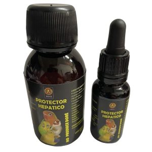 Protector Hepatico 100 ml DIVAL HOYO