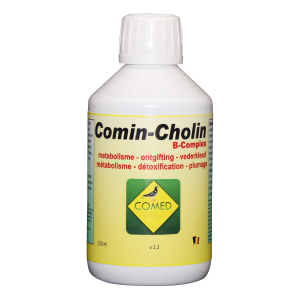Comin Cholin B (aminoacidos. electrolitos, vitaminas y mejora del higado) 500 ML COMED