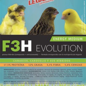 F3H Evolution LEGAZIN