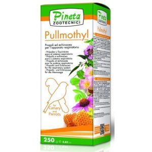 Pullmothy (enfermedades respiratorias) Pineta